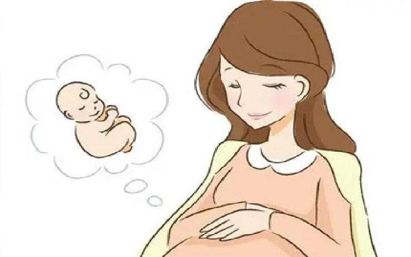 知名女星生子试管代生